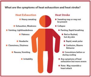 Preventing Heat Stress at Work - The United Food & Commercial Workers ...