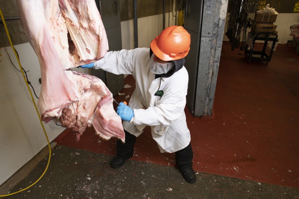 meat production