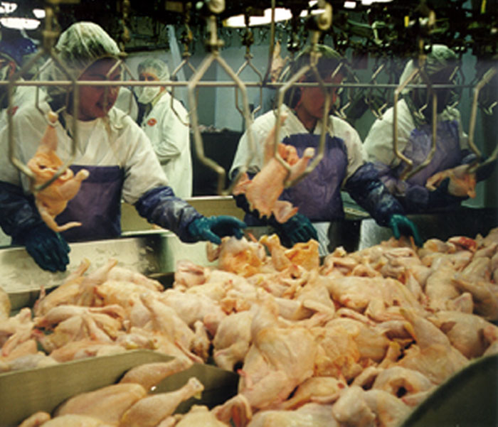 tyson chicken processing